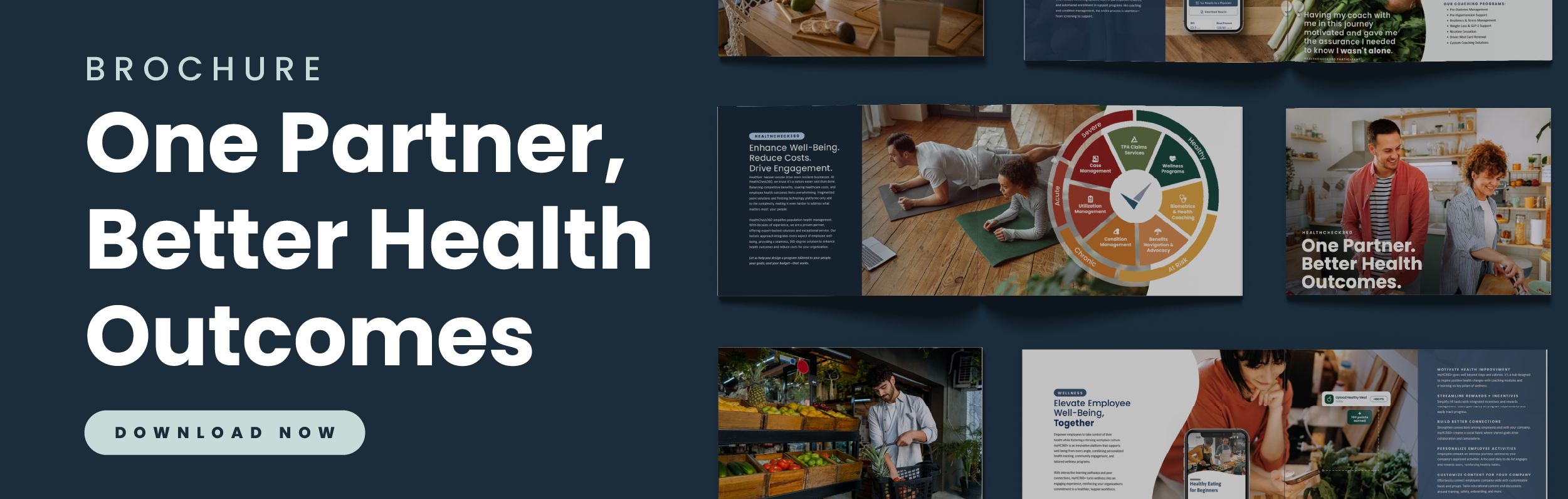 Brochure Slice